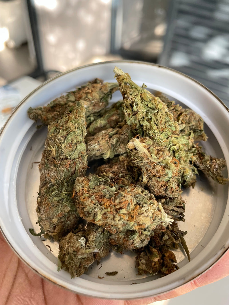 CannaJar