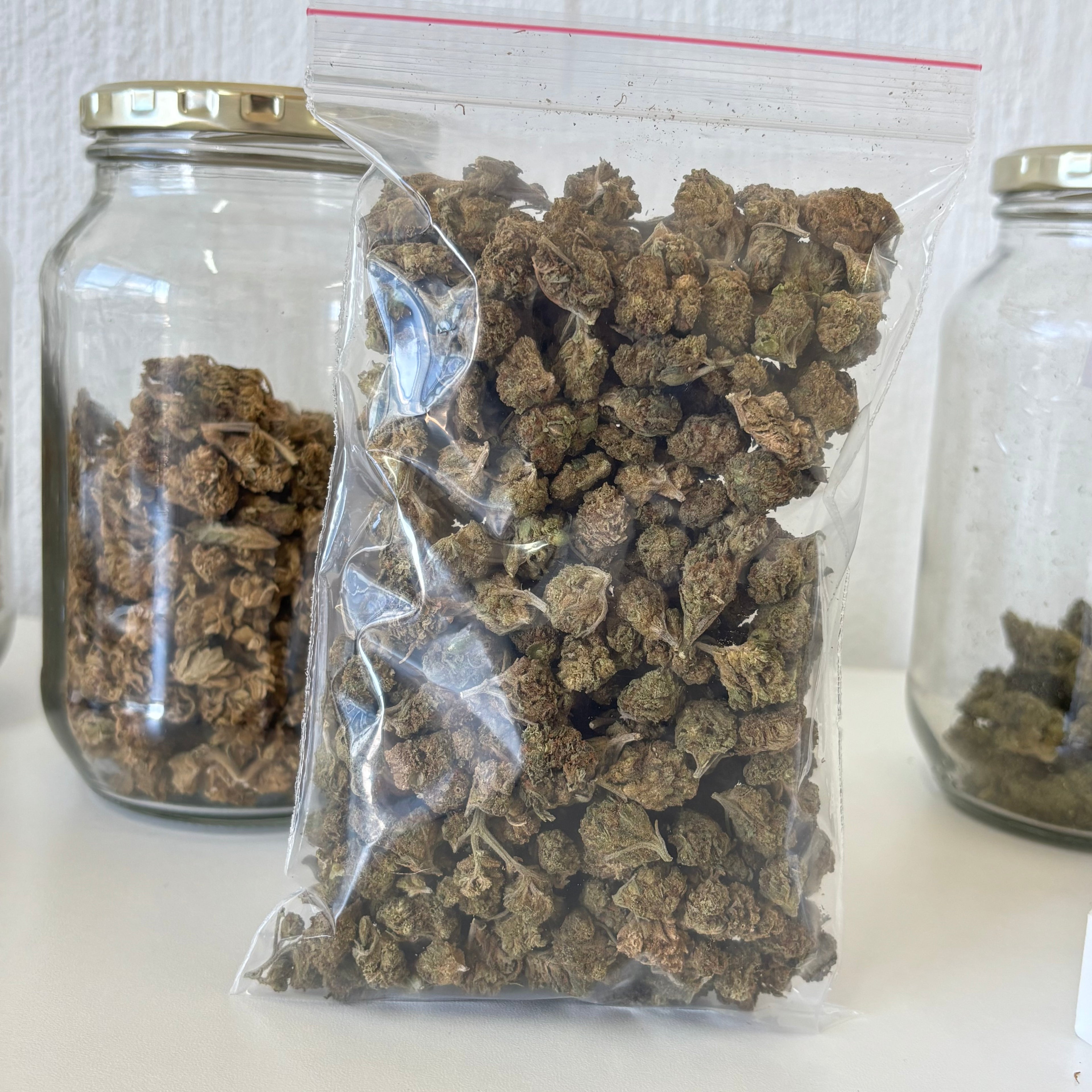 50gs of Outdoor strains