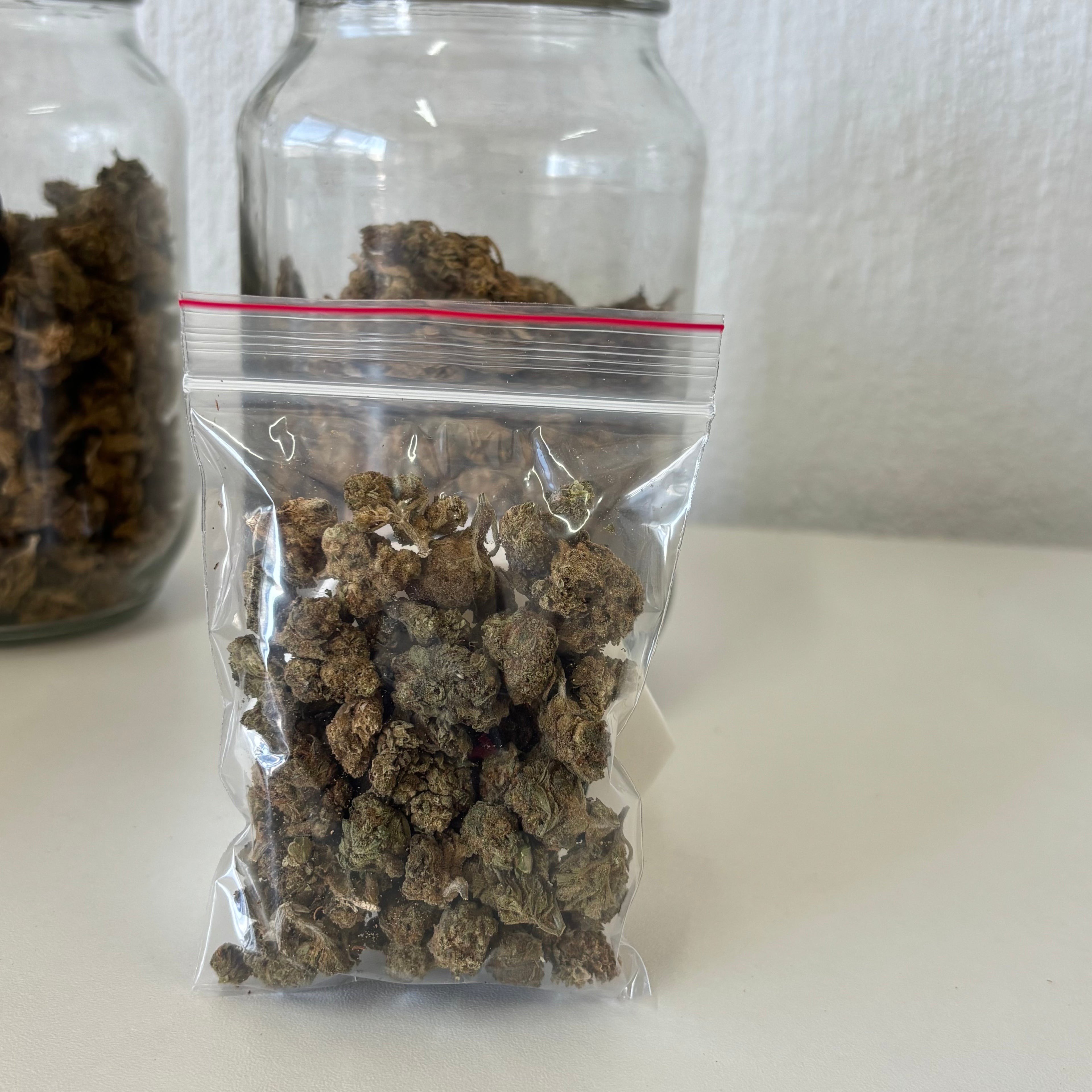 10gs of High Outdoor strains