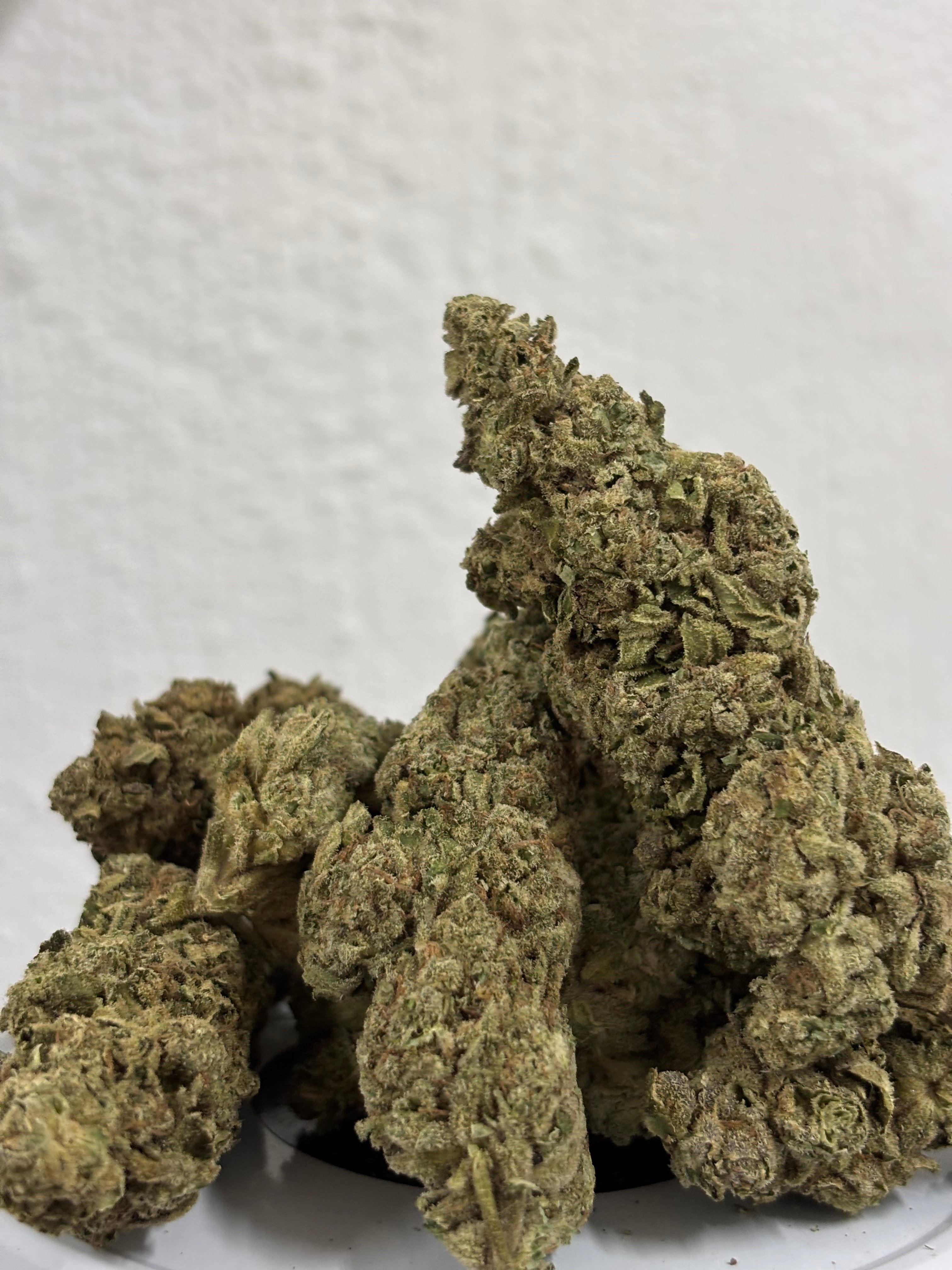 Northern lights