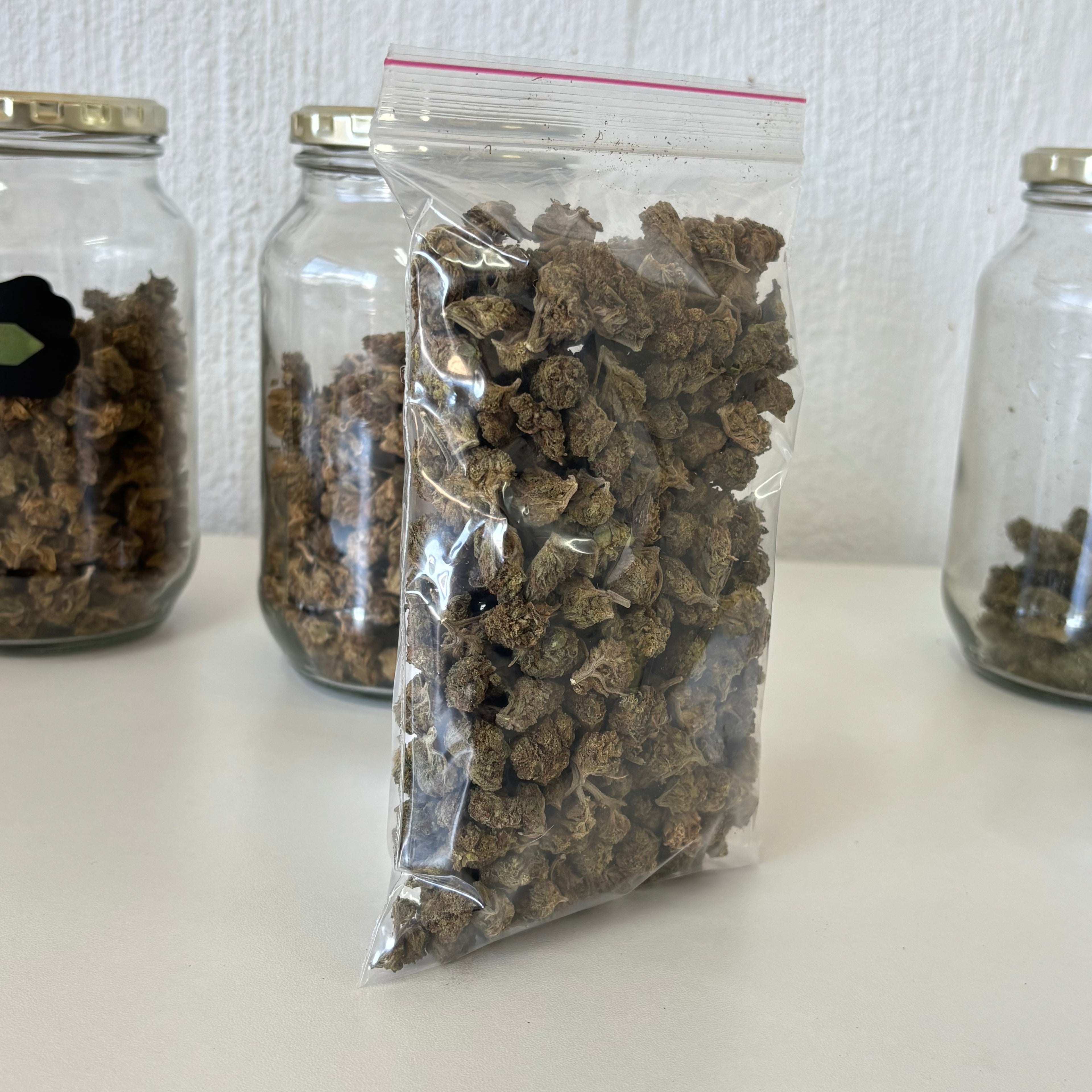 50gs of Outdoor strains