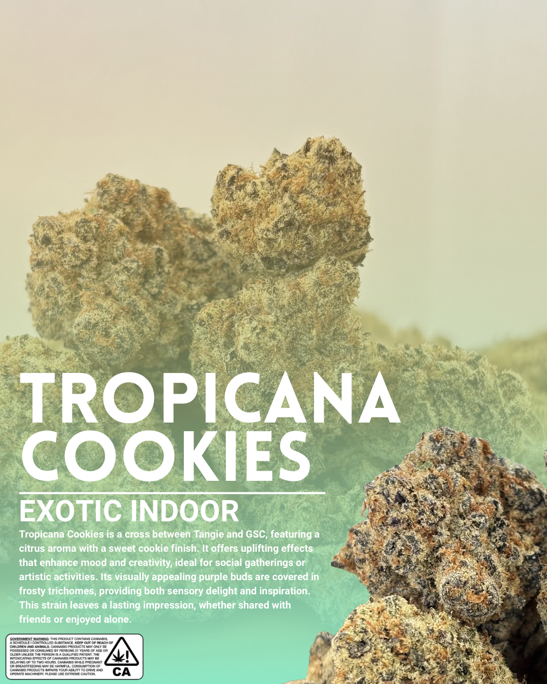 Tropicana cookies