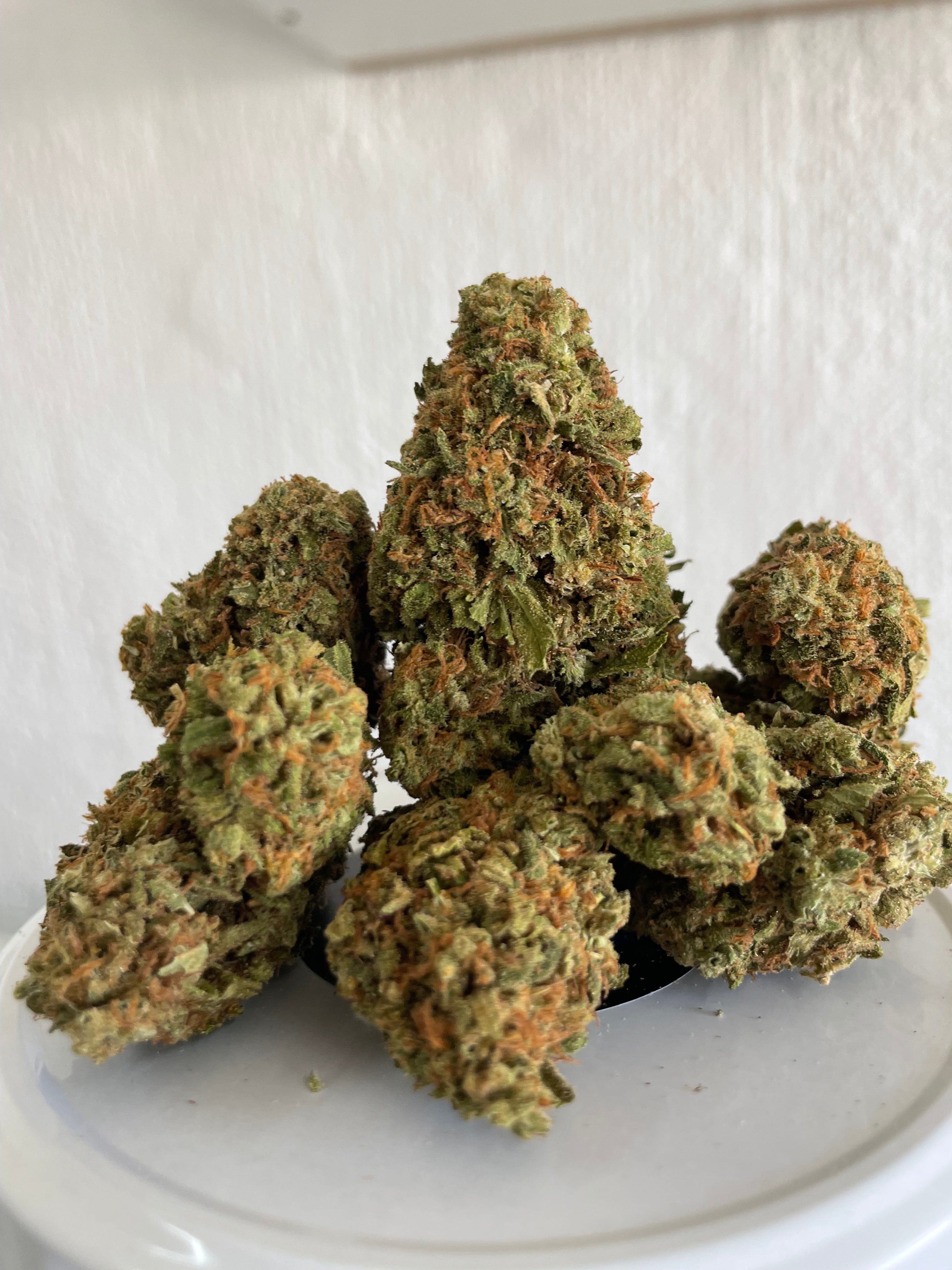 Big Bhuddha cheese