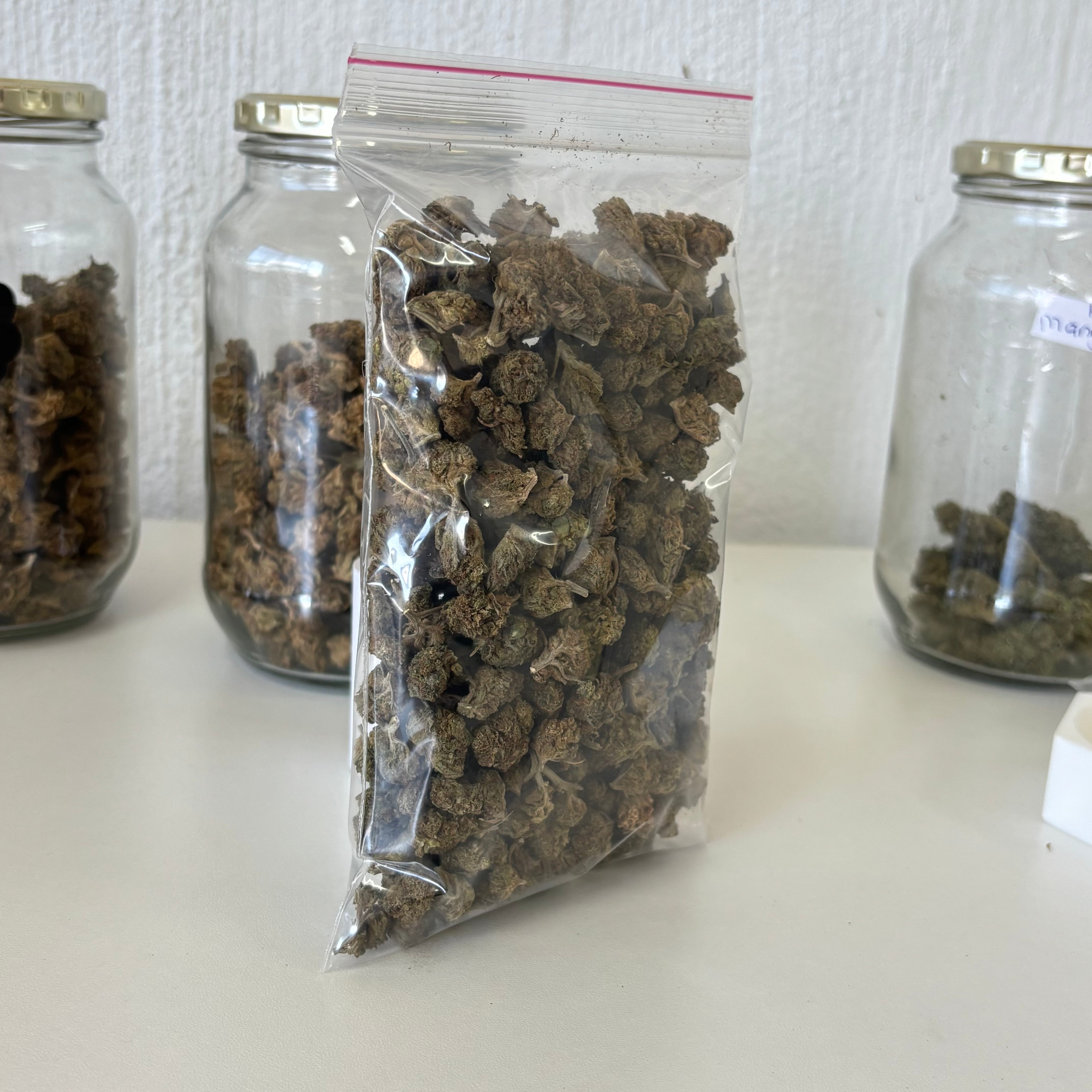 50gs of Outdoor strains