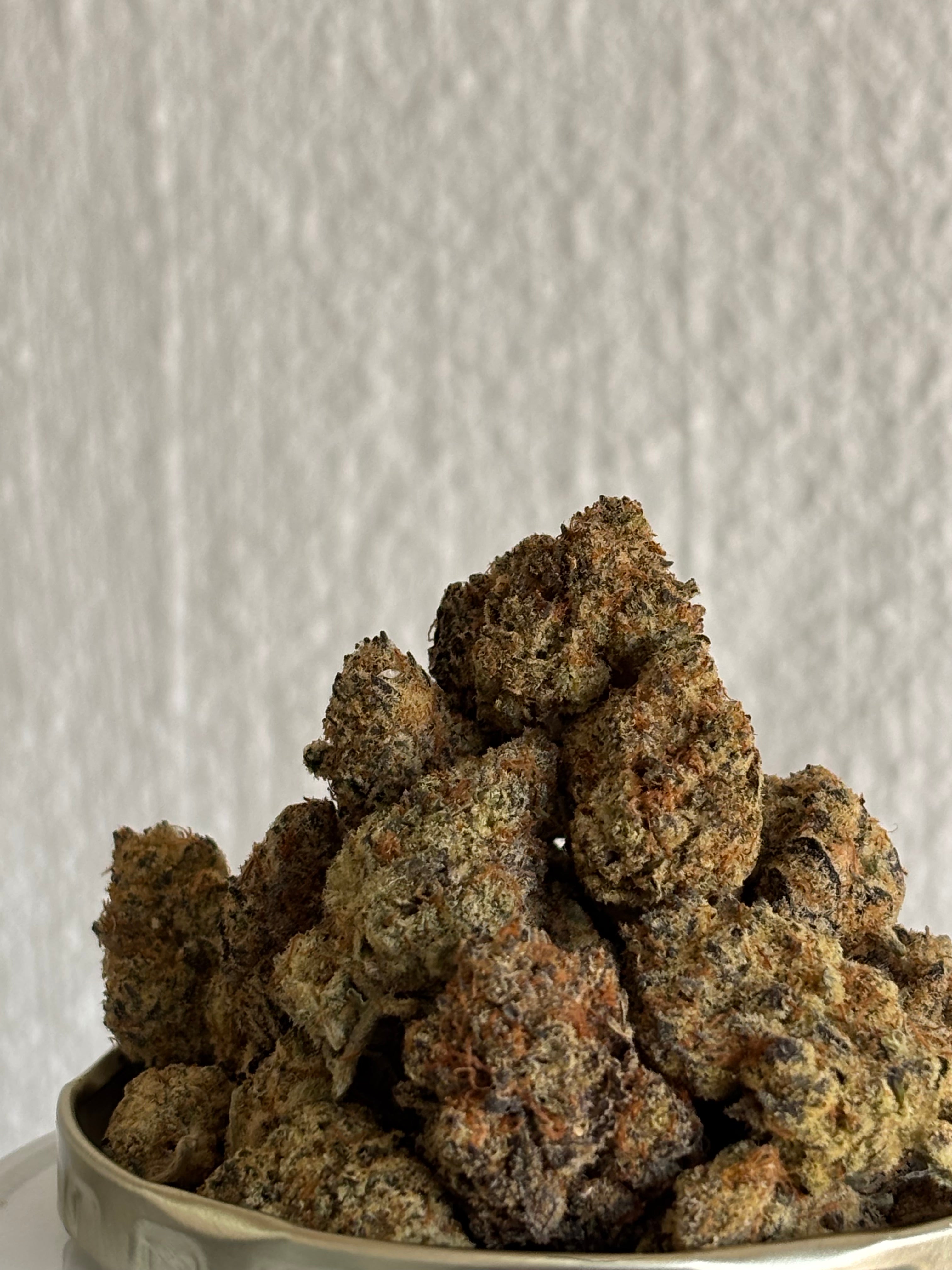Monster Zkittles (greendoor)