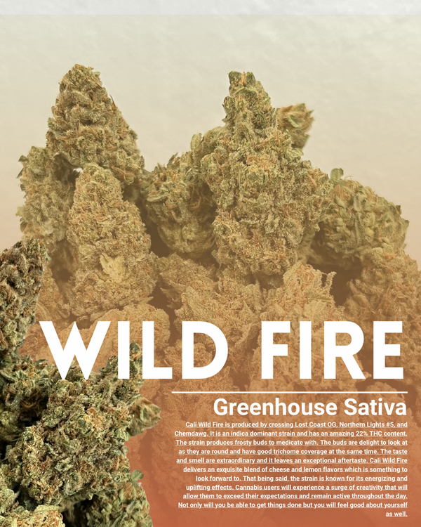 Wild fire