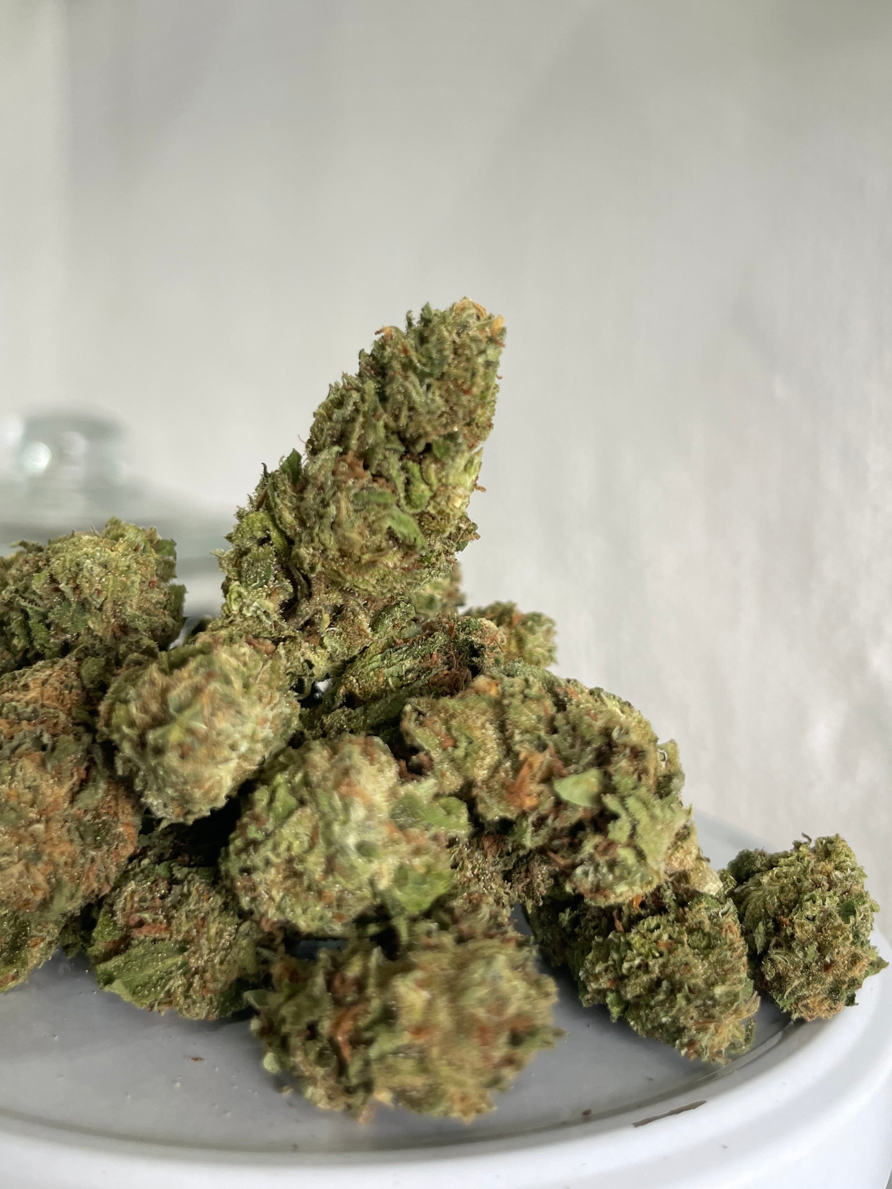 Blue gelato