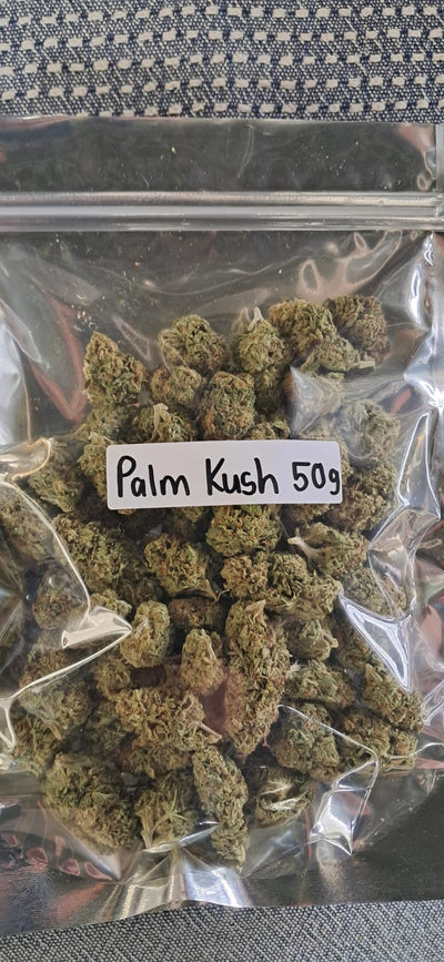 Palm kush
