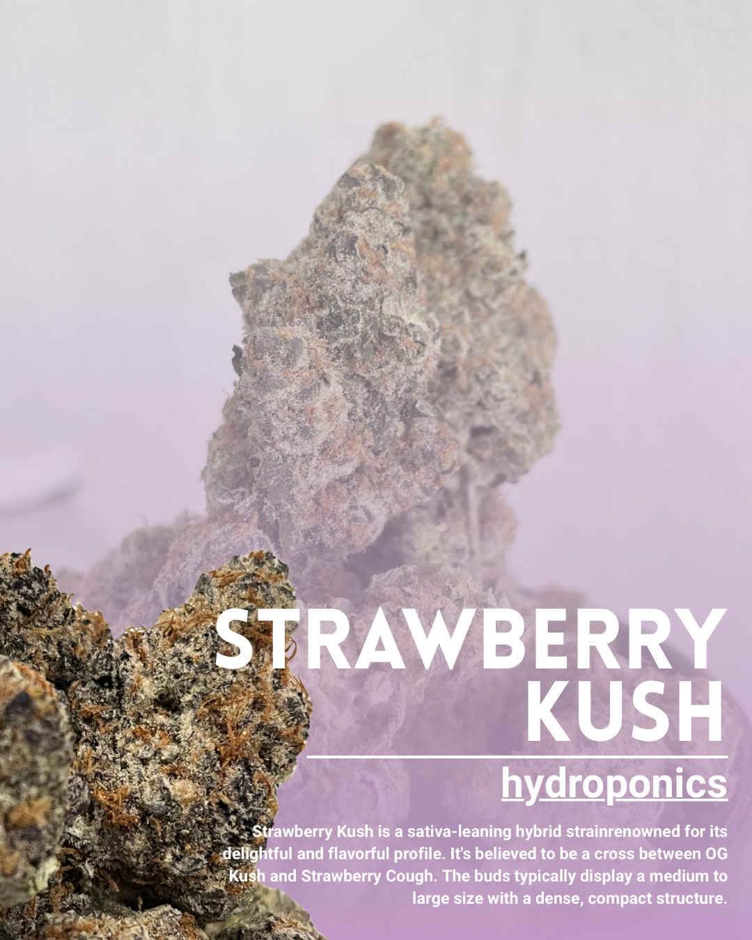 Strawberry kush