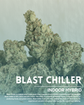 Blast chiller