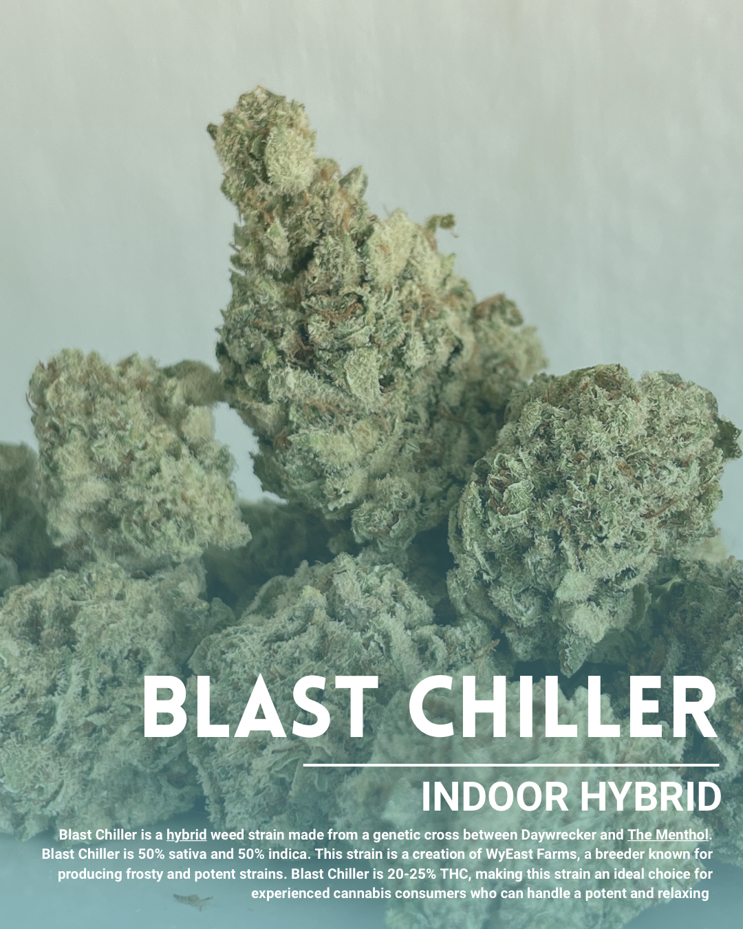 Blast chiller