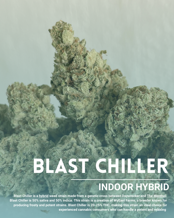 Blast chiller