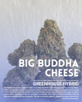 Big Bhuddha cheese