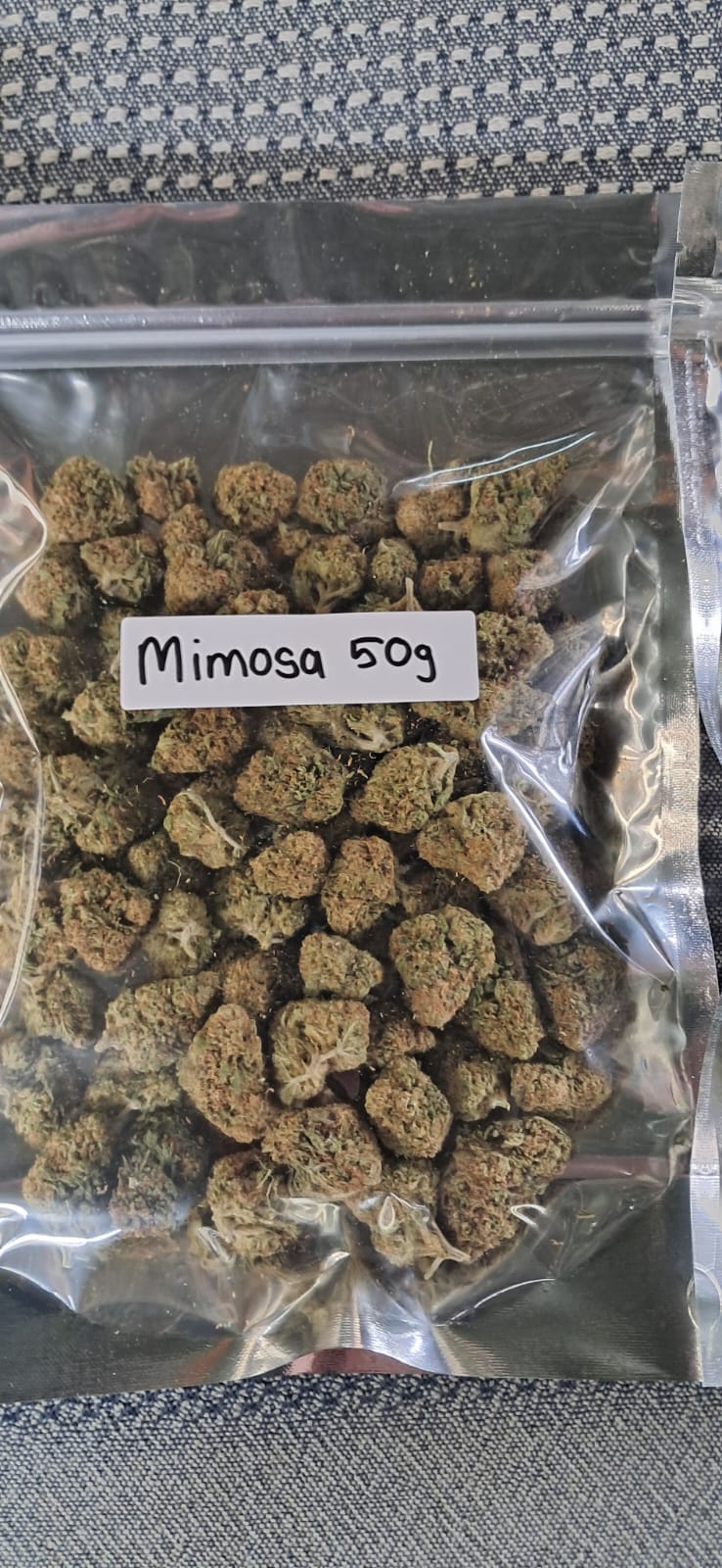 Mimosa 50gs