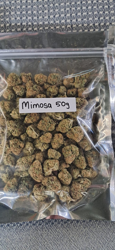 Mimosa 50gs