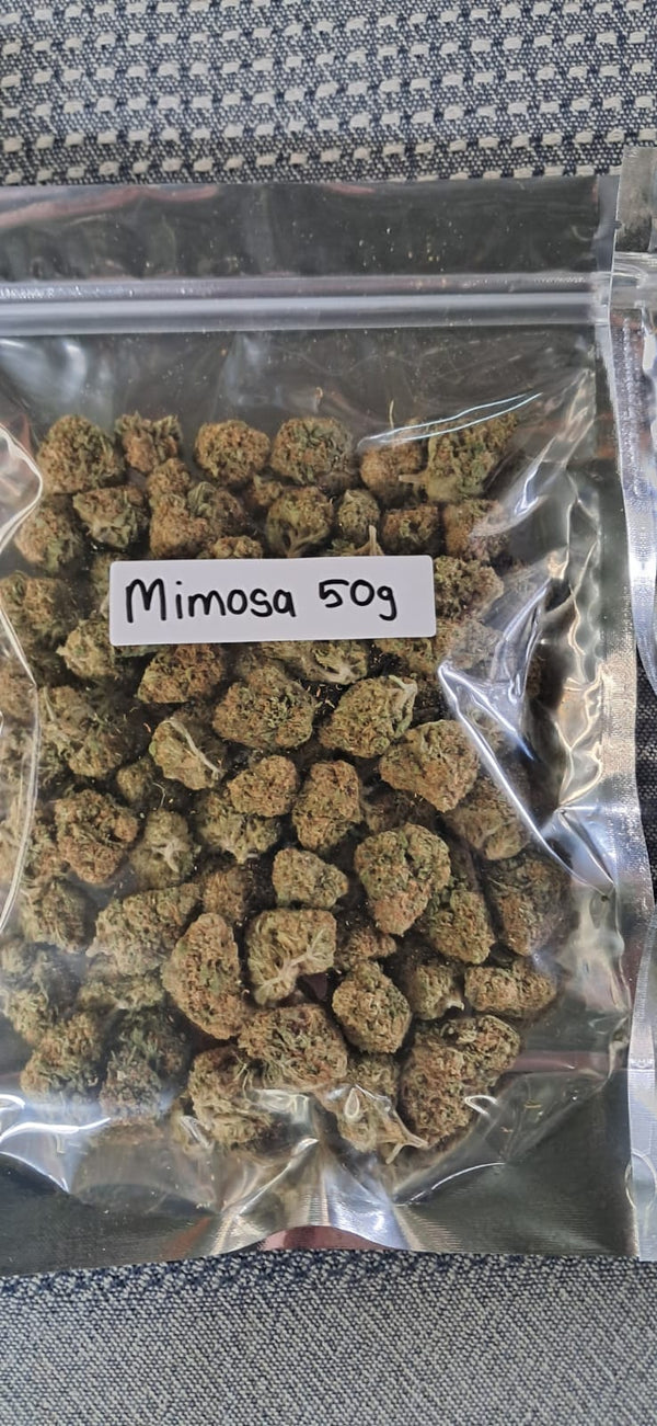 Mimosa 50gs