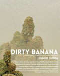 Dirty banana