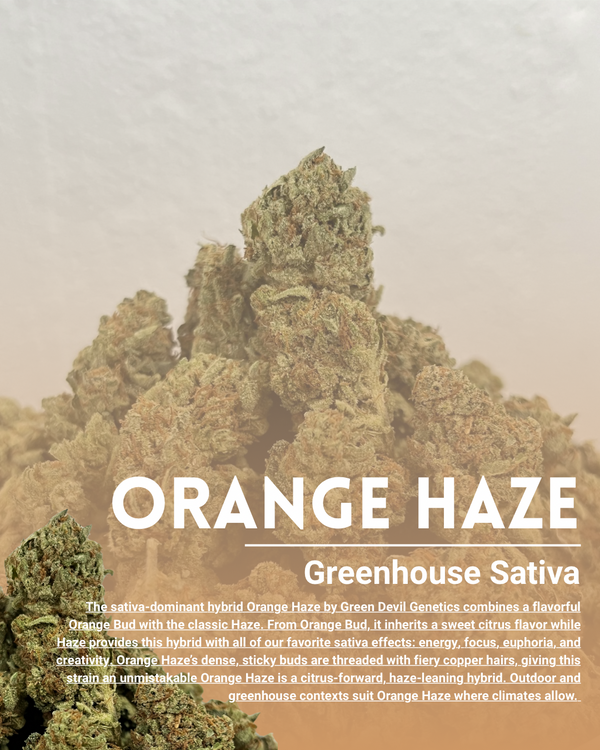 Orange haze