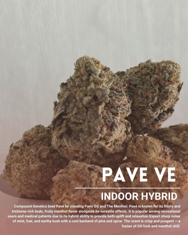 Pave VE