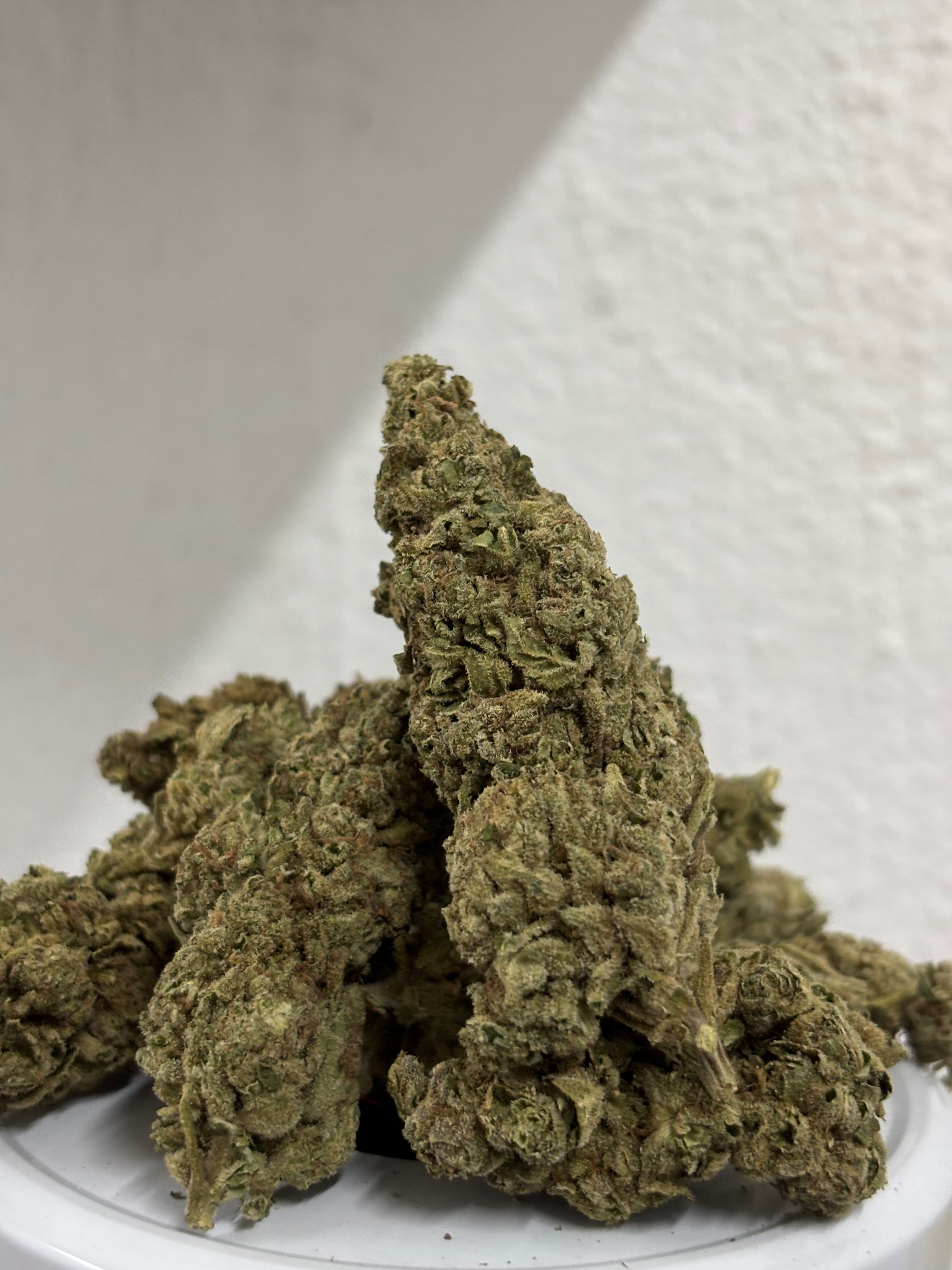 Northern lights