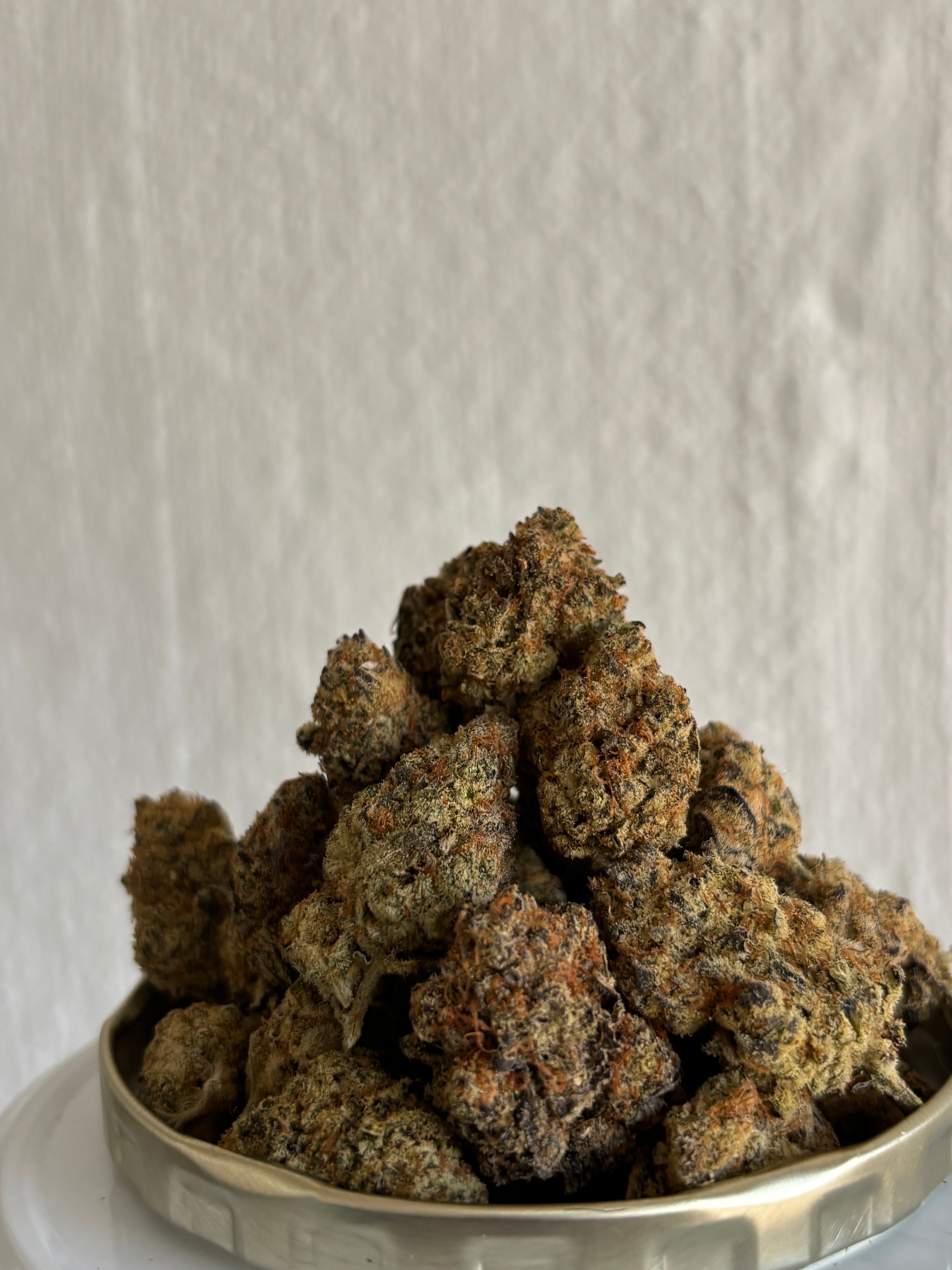 Monster Zkittles (greendoor)