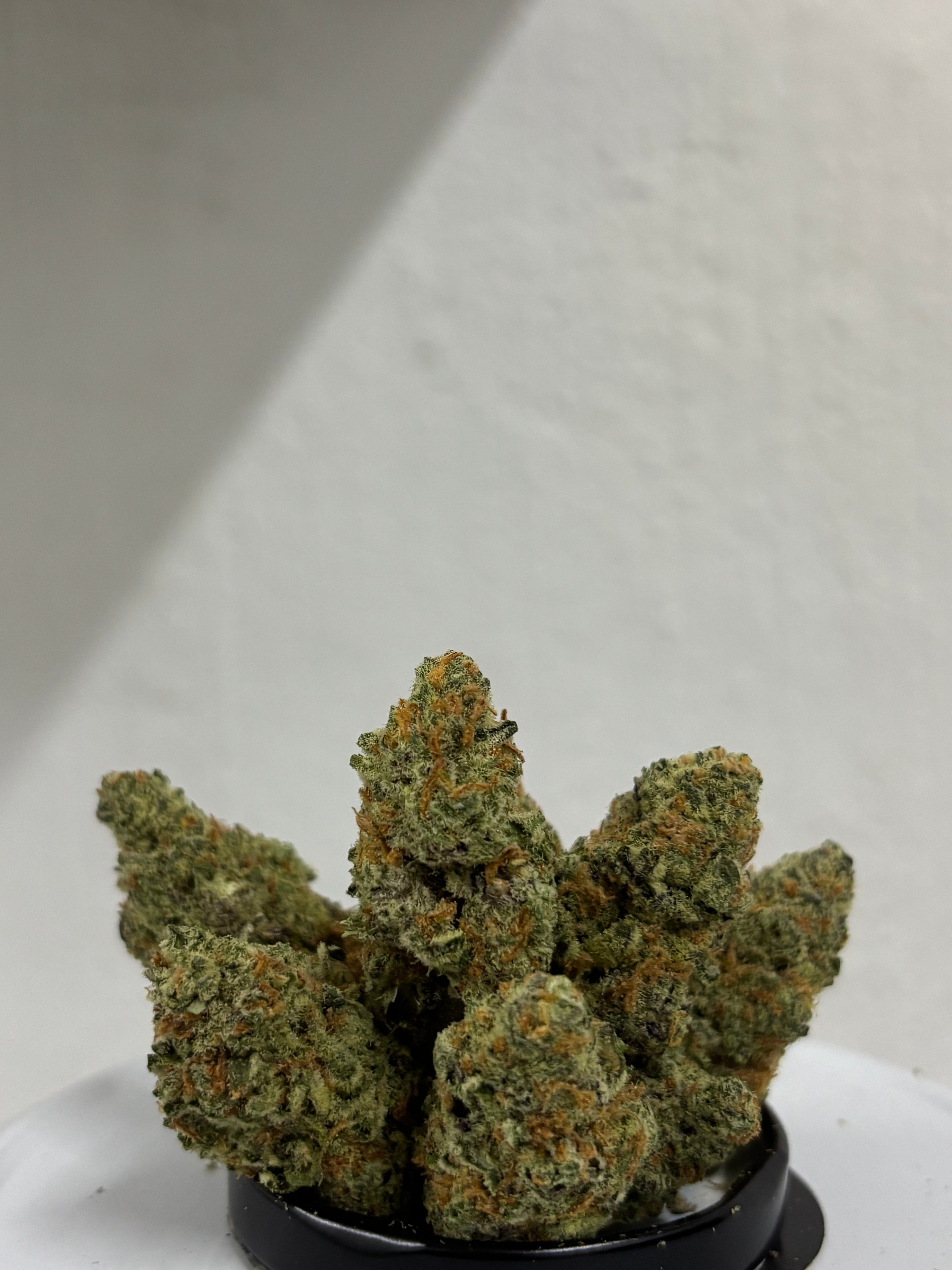 Hulk berry