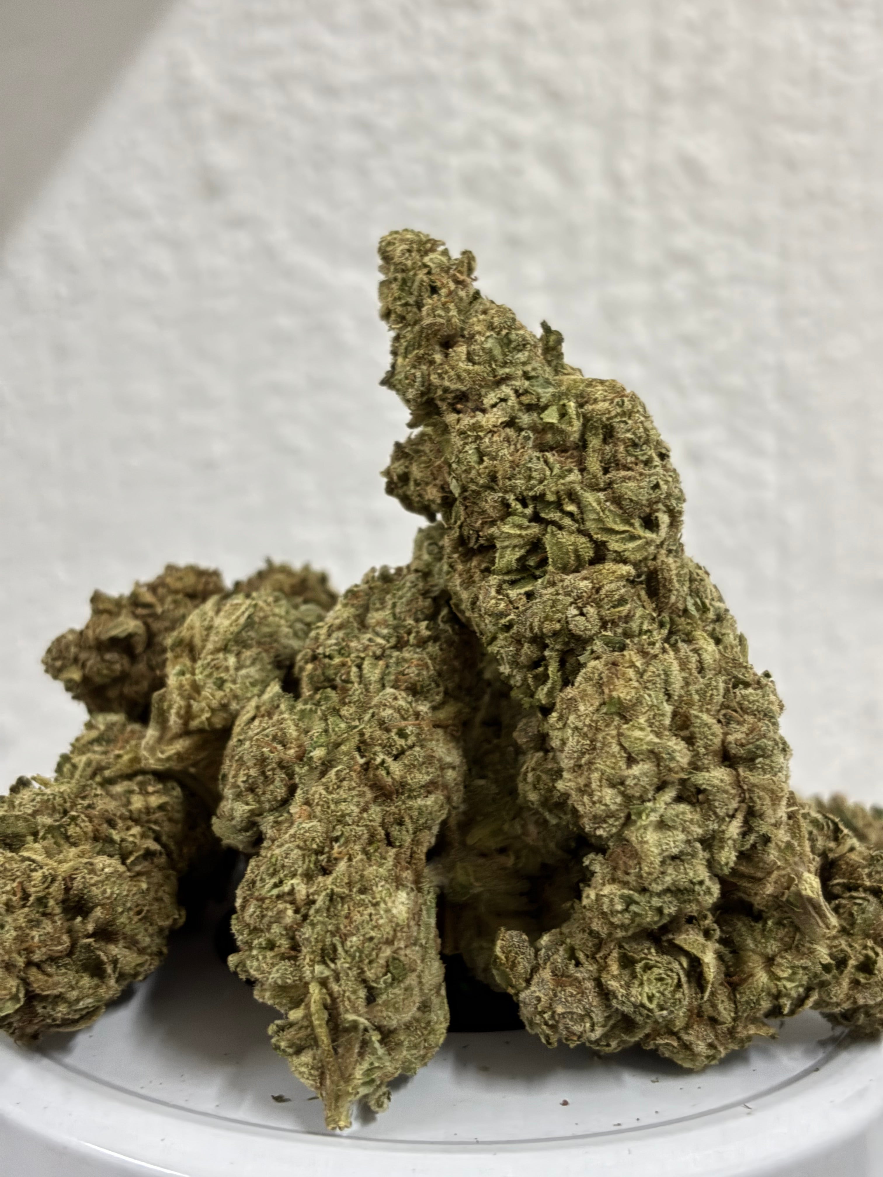 Northern lights