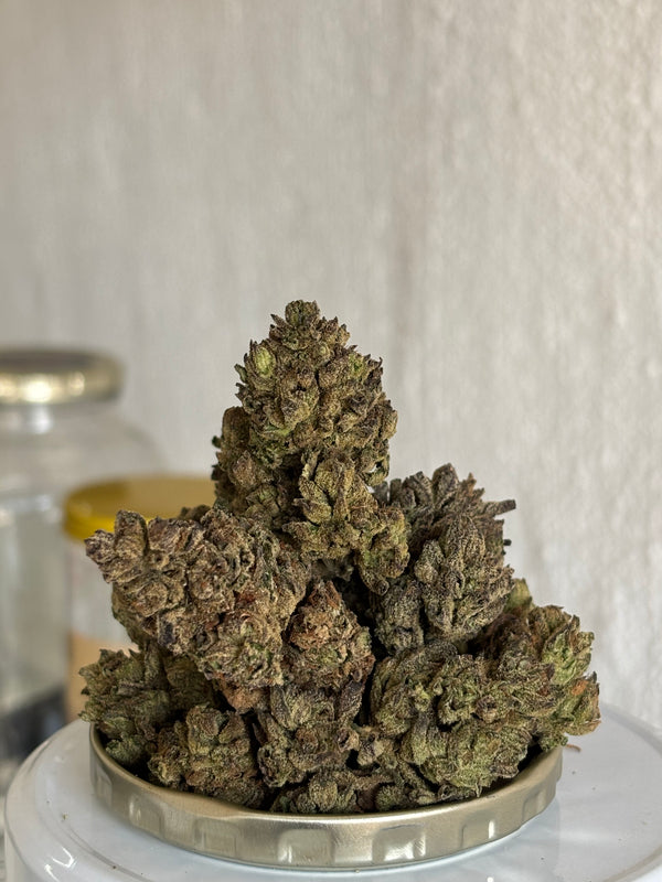 50gs Frosted Apricot