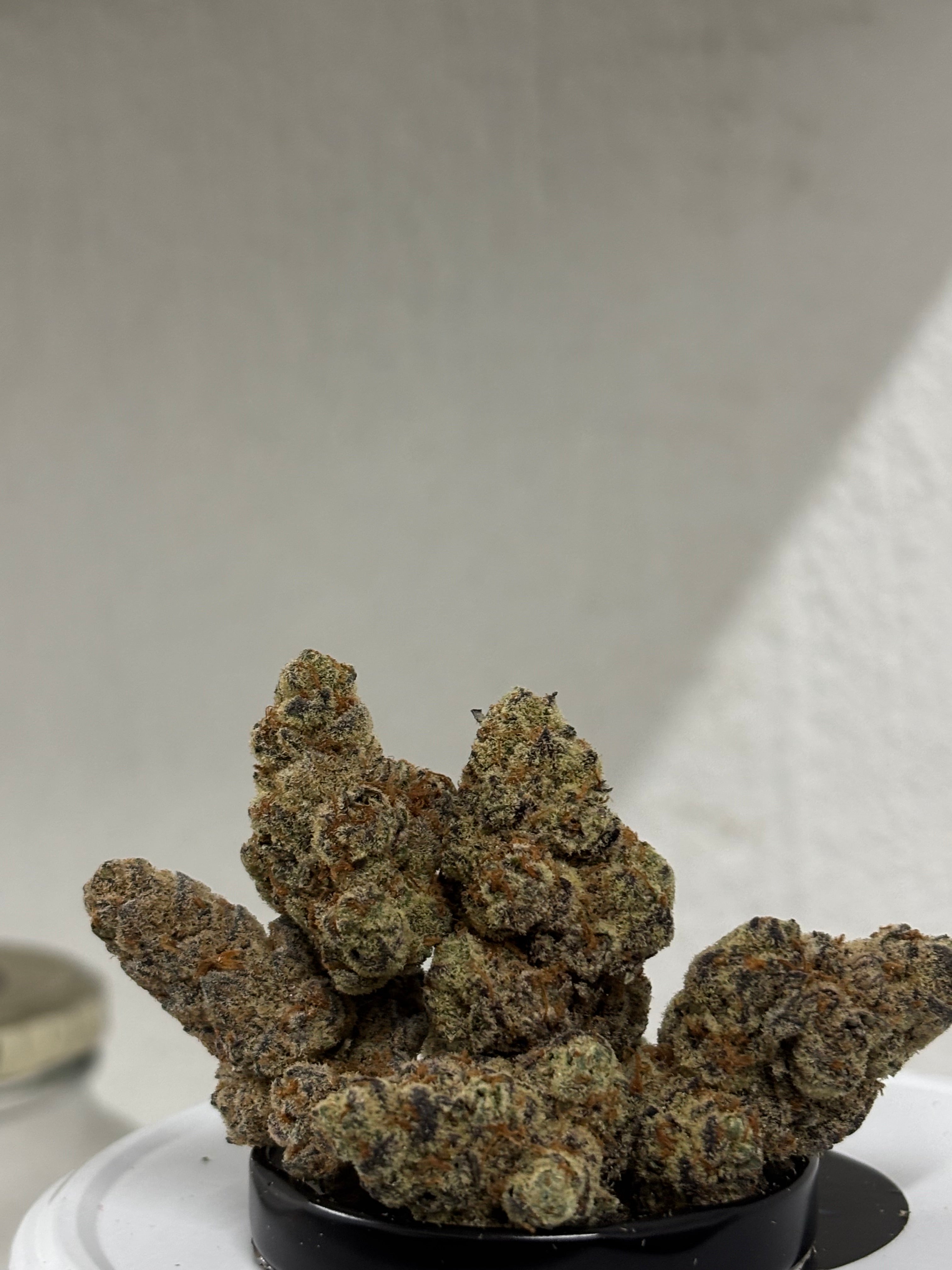 Galaxy exotica