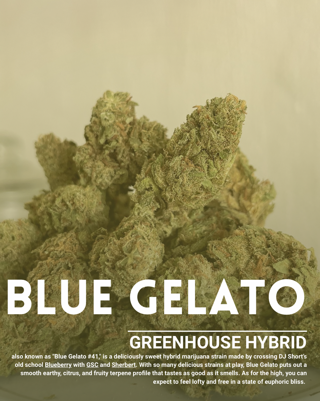 Blue gelato