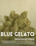 Blue gelato