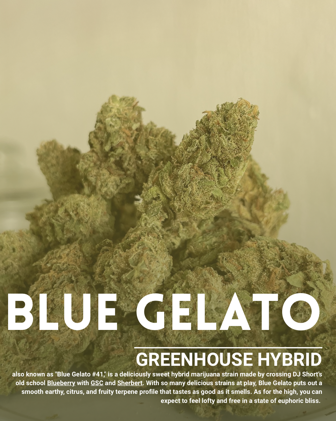Blue gelato
