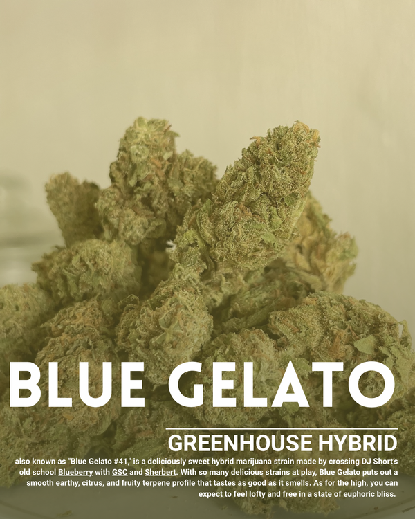 Blue gelato