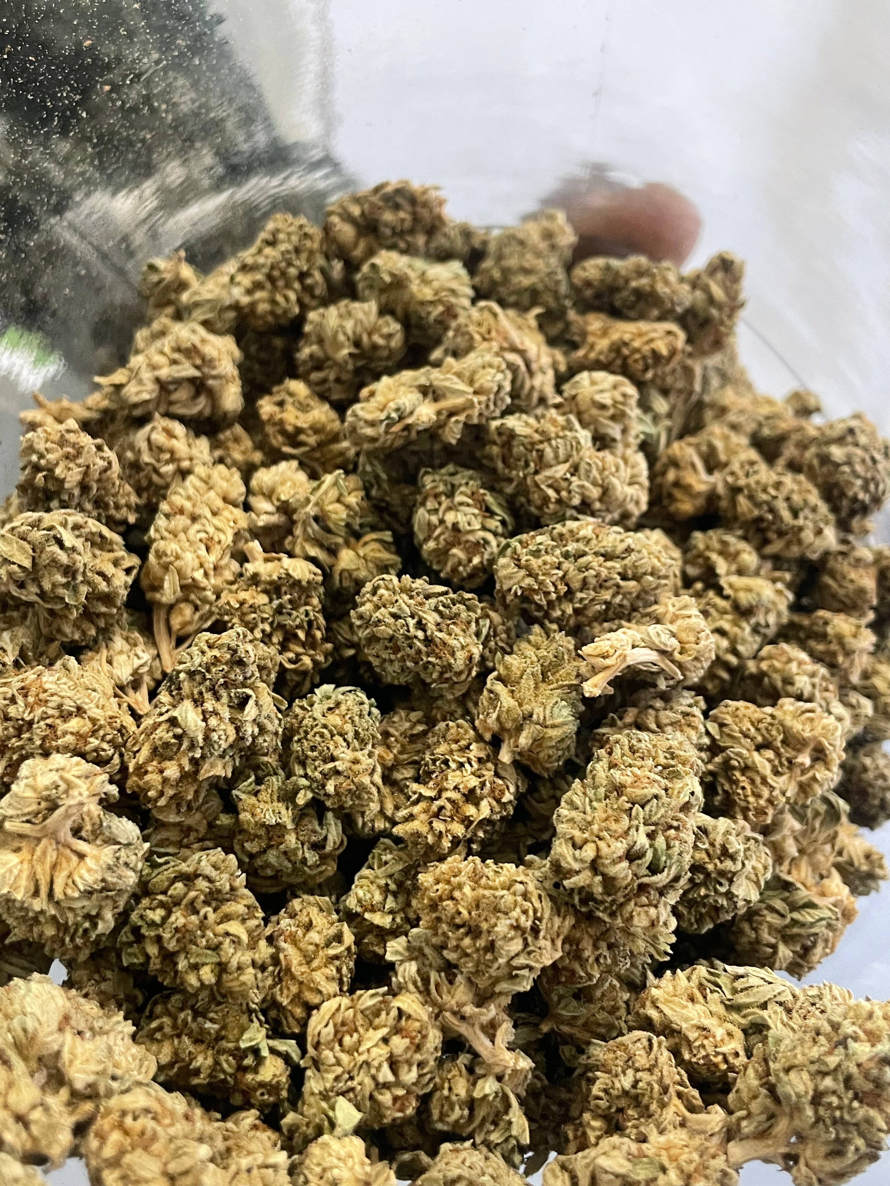 Blue berry diesel