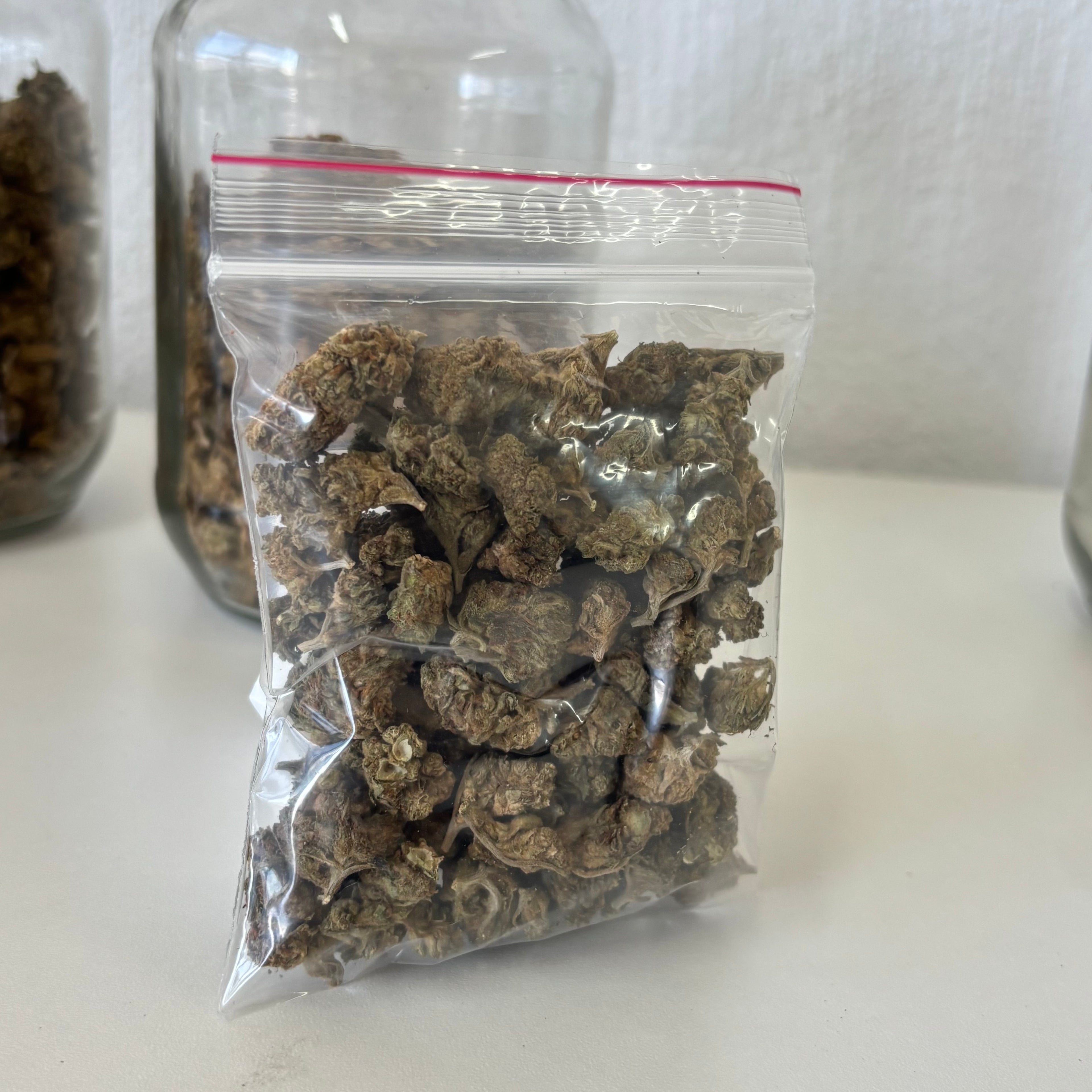 20gs Outdoor strains