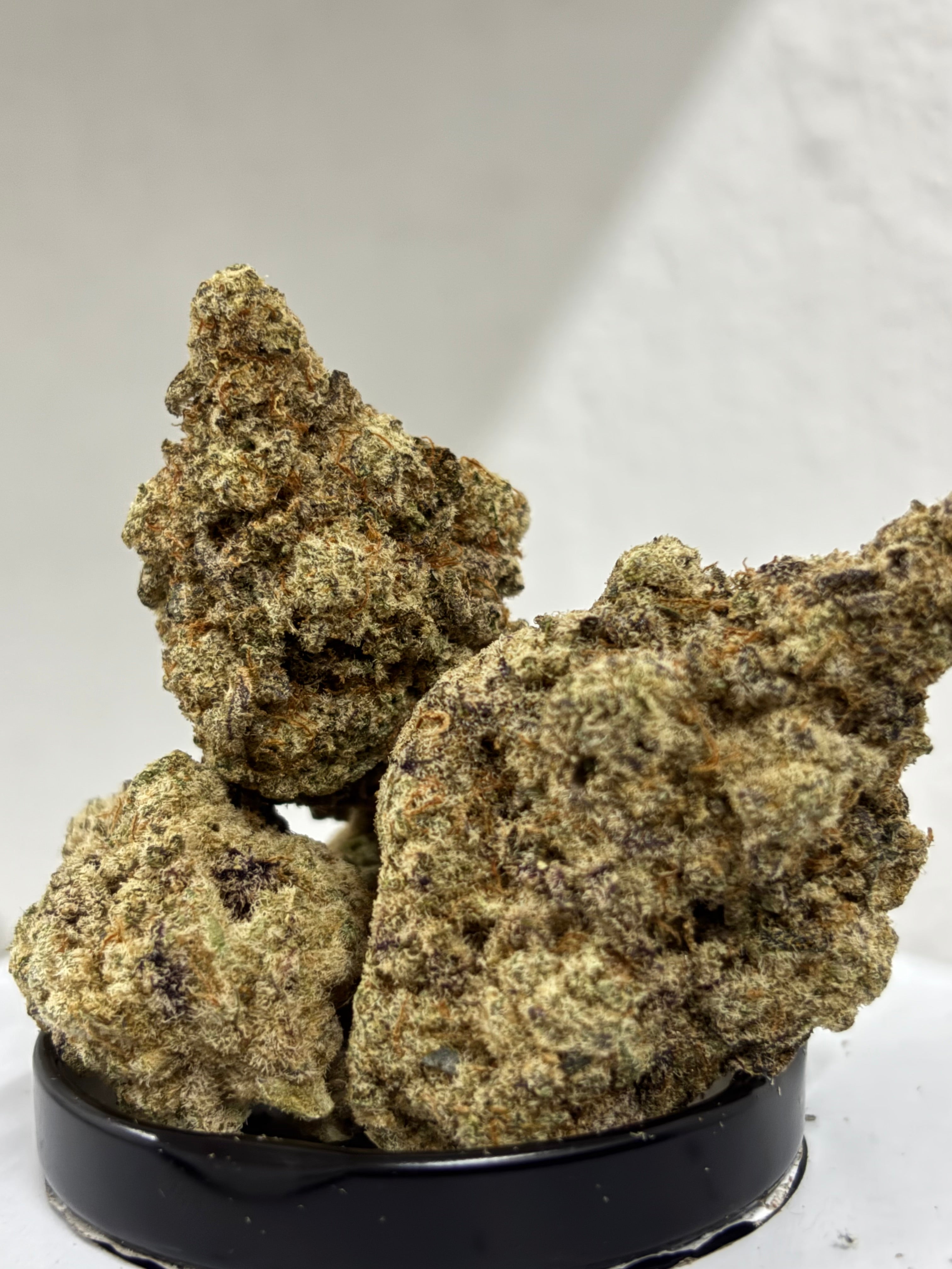 Marshmallow mimosa