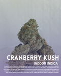 Cranberry kush