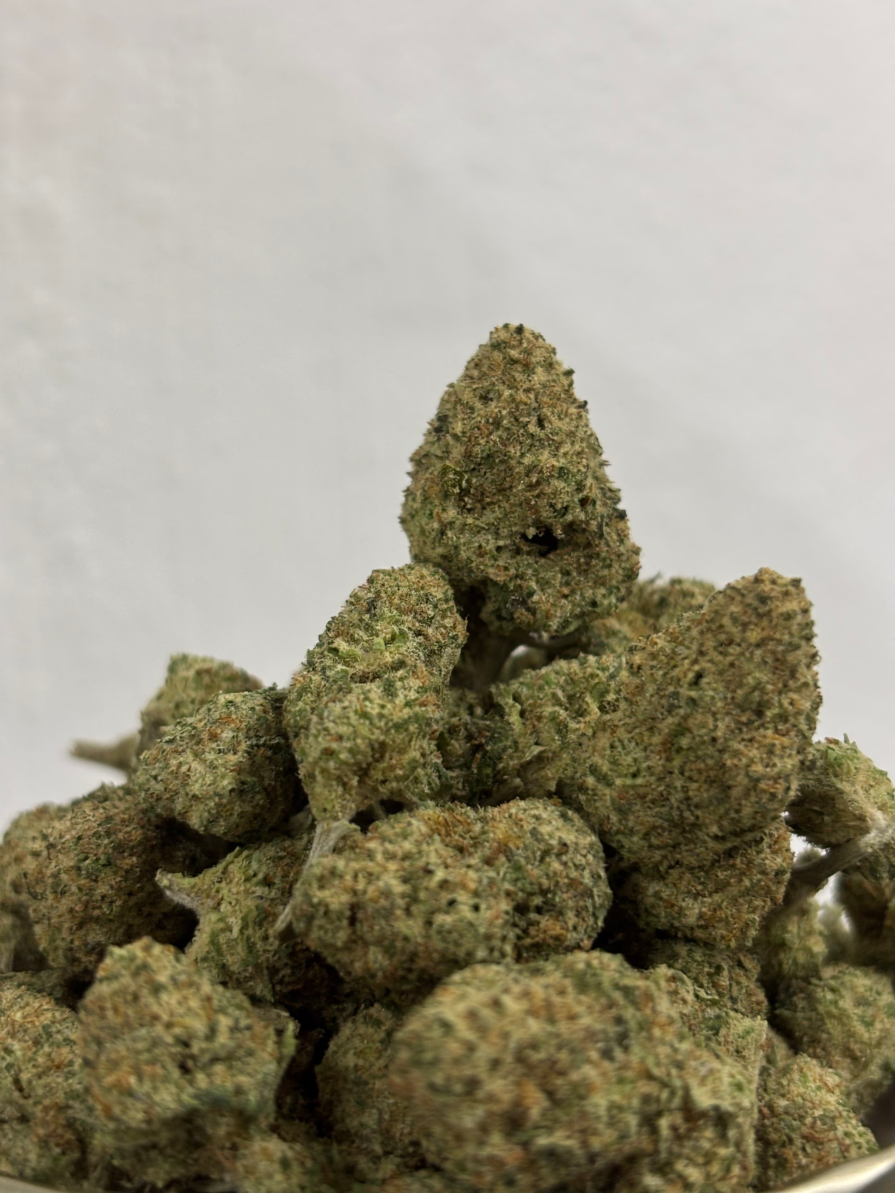 Apple Fritter