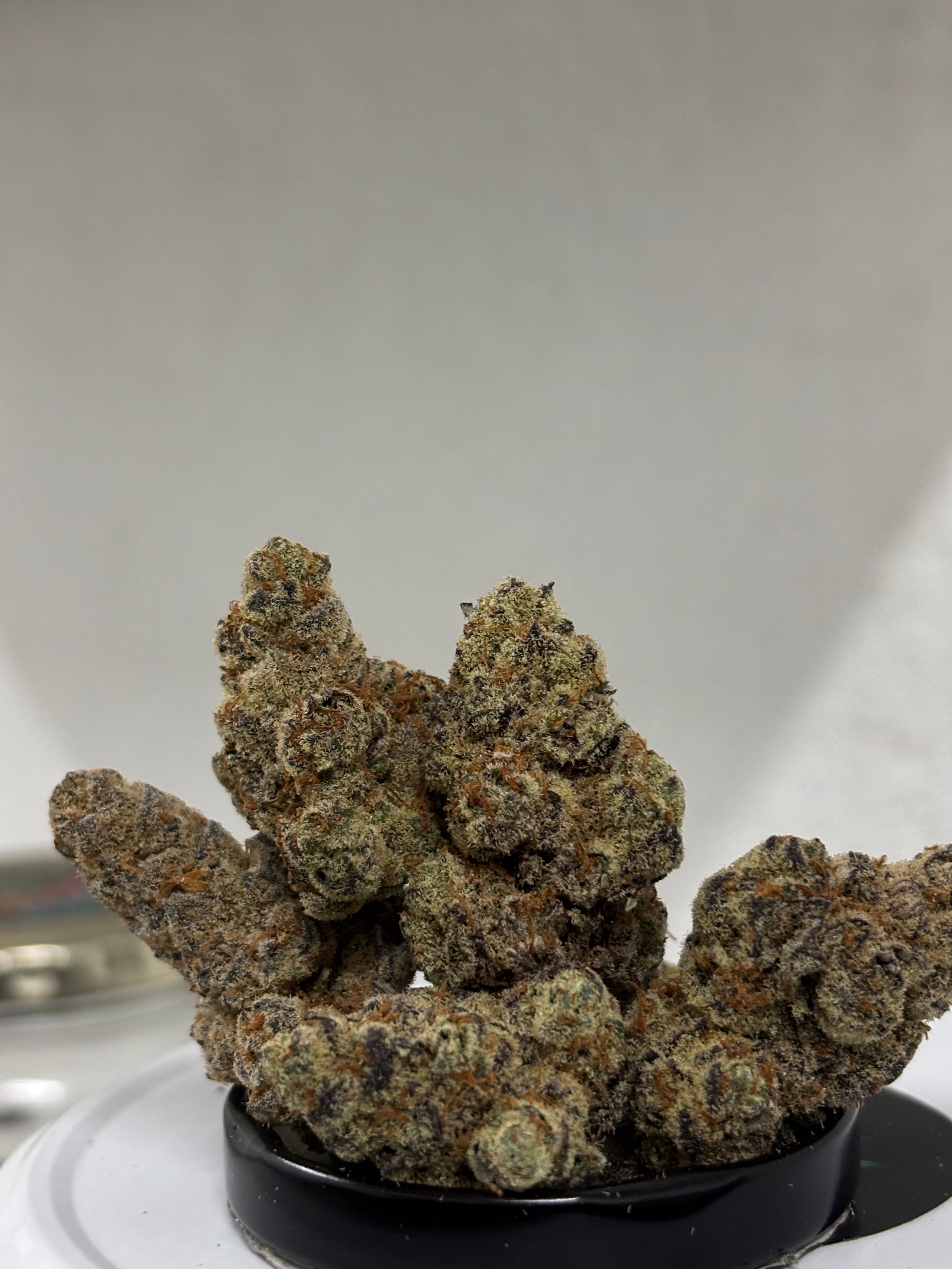 Galaxy exotica