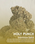 Holy Punch