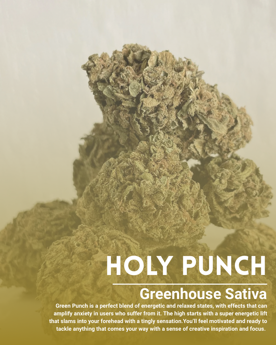 Holy Punch