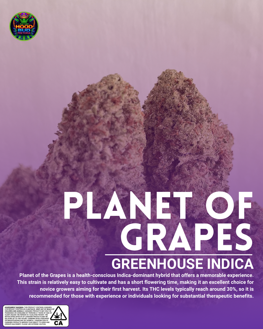 Planet of the Grapes