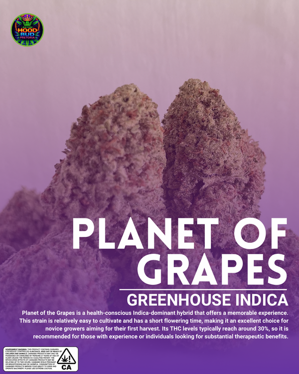 Planet of the Grapes